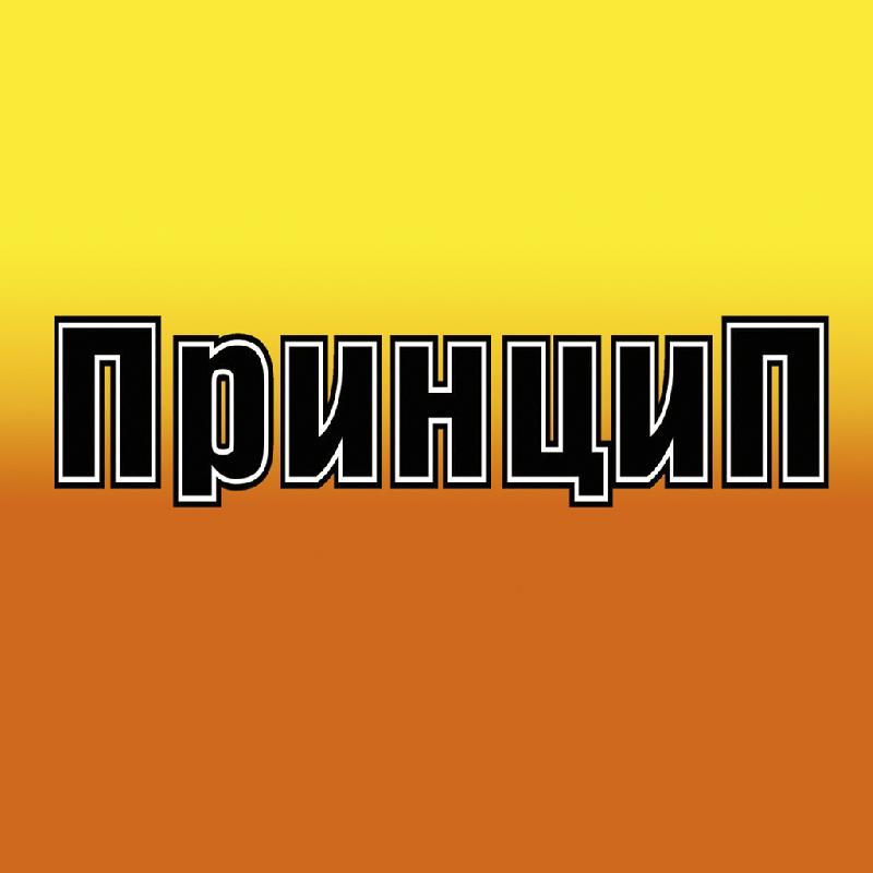 Отзывы